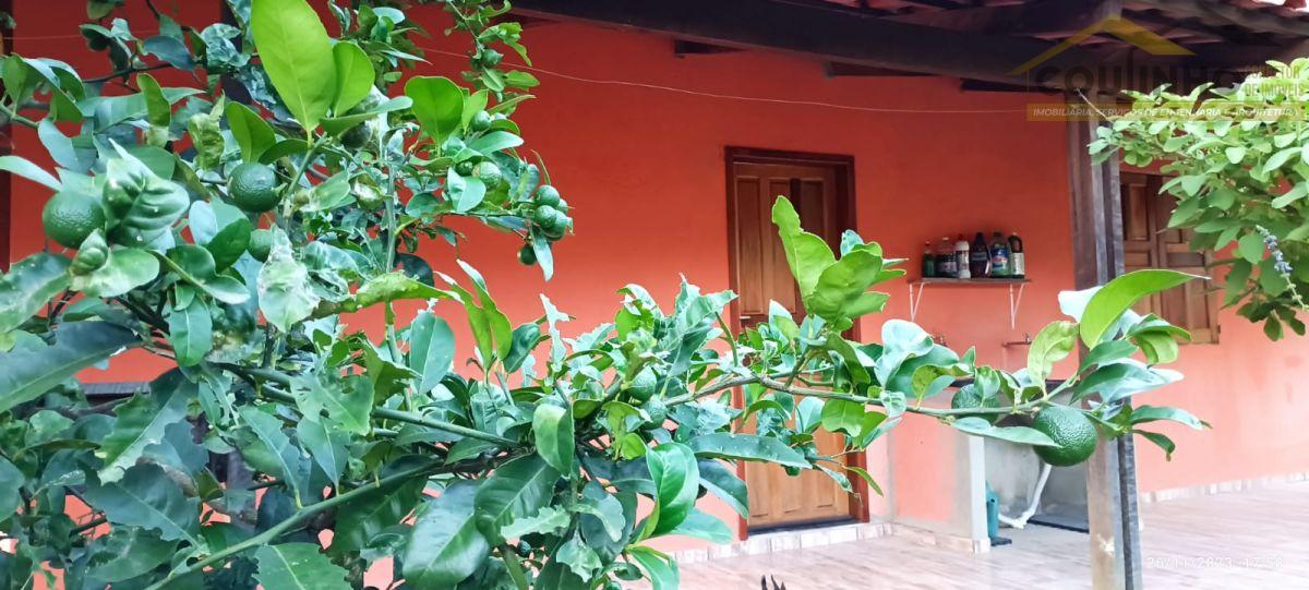 WhatsApp Image 2024-08-29 at 13.46.46.jpeg